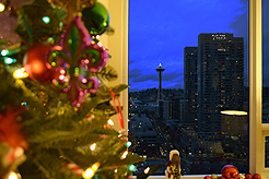 HOLIDAYS IN THE CITY